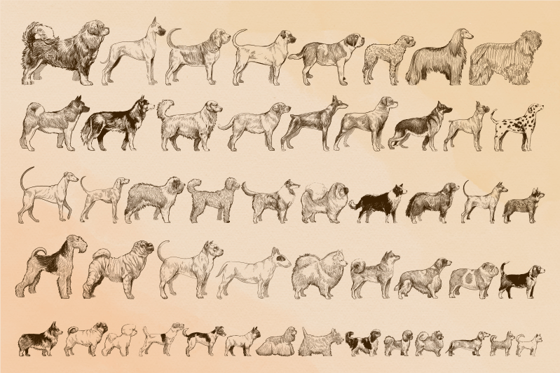 Beige hondenillustraties dieren vinyl tapijt - TenStickers