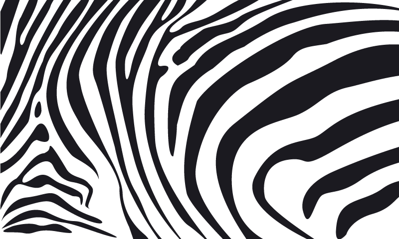 Vinyl tapijt dierenprint zebra lijnen - TenStickers