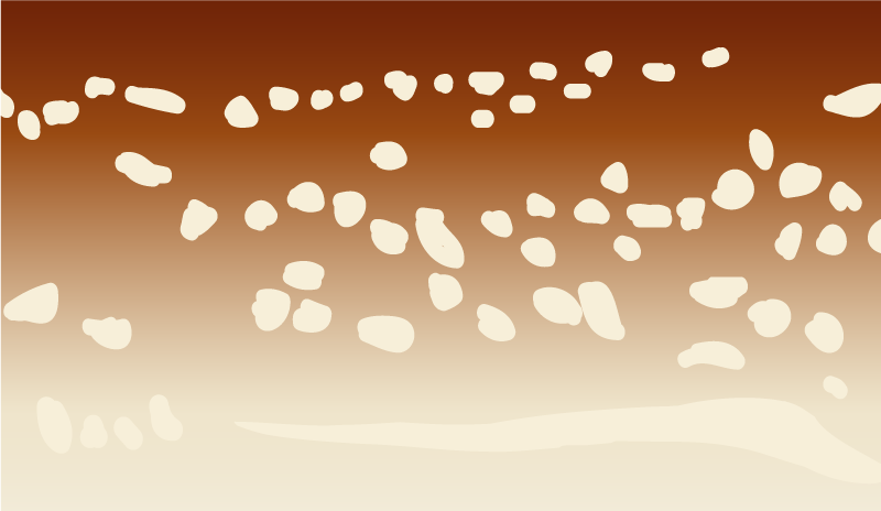 Bruine loopbrug vinyl tapijt stenenstructuur - TenStickers