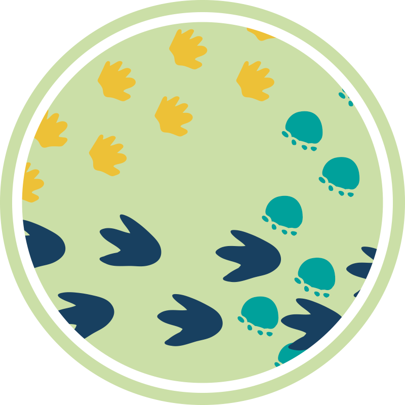 Vinyl tapijt voor meer kinderen dinosaurensporen design - TenStickers