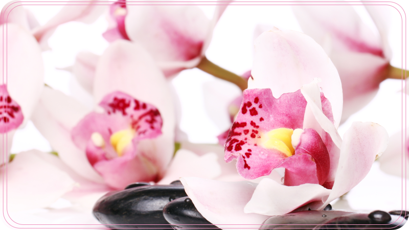 Elegant orchideeënontwerp vinyl tapijt bloemen en planten - TenStickers