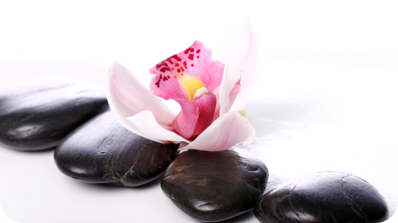 Elegante bloemensereniteit vinyl tapijt natuur - TenStickers