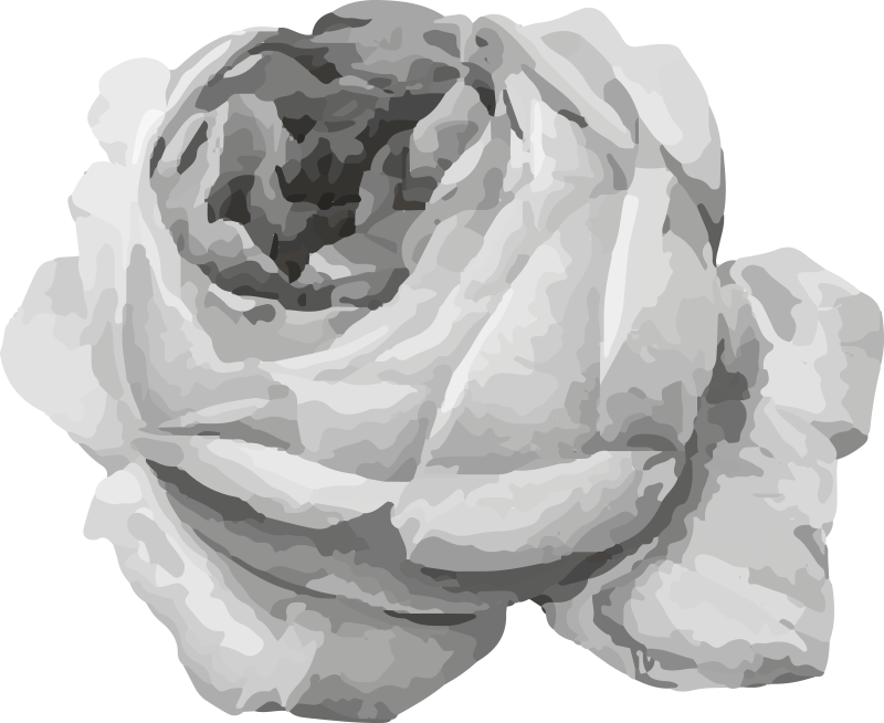 Rozenbloesem vinyl tapijt bloemen en planten - TenStickers