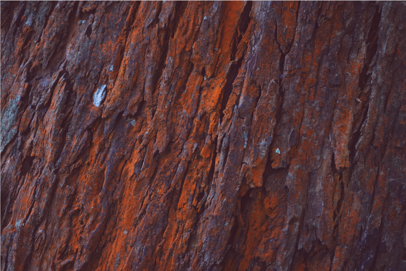 Rustieke schors vinyl tapijt met houtstructuur - TenStickers