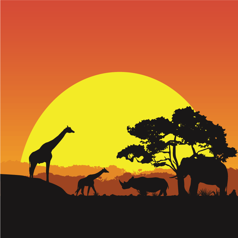 Zonsondergang safari scène dieren vinyl tapijt - TenStickers
