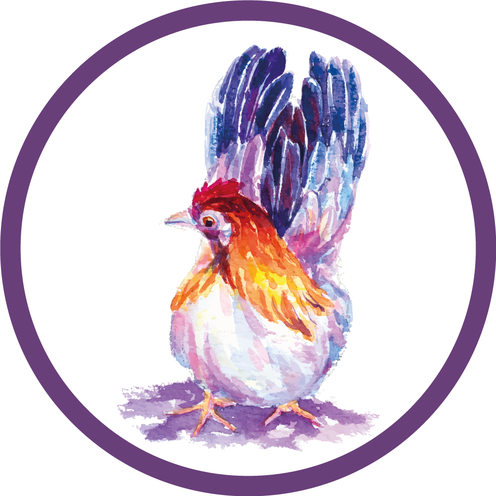 Kleurrijke kip coq dieren vinyl tapijt - TenStickers