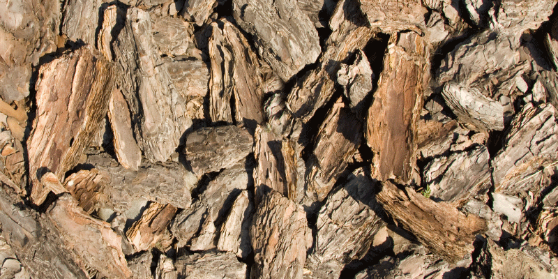 Natuurlijk schorsontwerp vinyl tapijt met houtstructuur - TenStickers