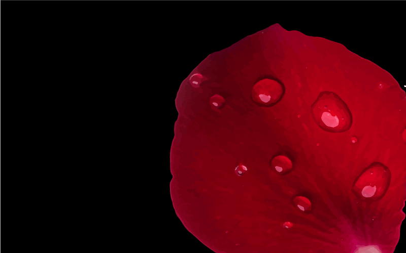 Rode bloemblaadjes glamour vinyl tapijt woonkamer - TenStickers