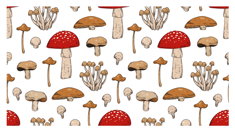 Paddenstoelen droomlandschap vinyl tapijt natuur - TenStickers