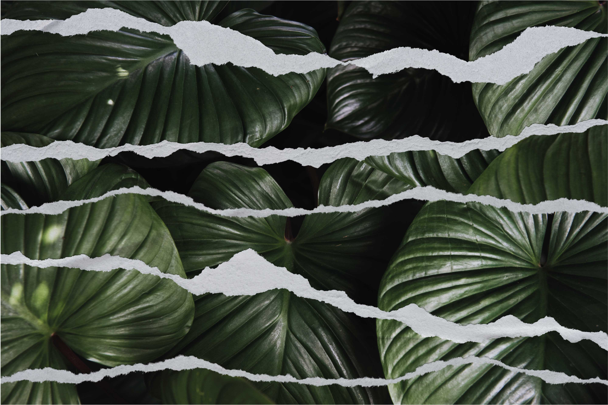 Gescheurd bladpatroon vinyl tapijt natuur - TenStickers