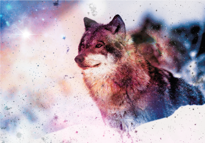 Kosmische wolf afbeelding dieren vinyl tapijt - TenStickers