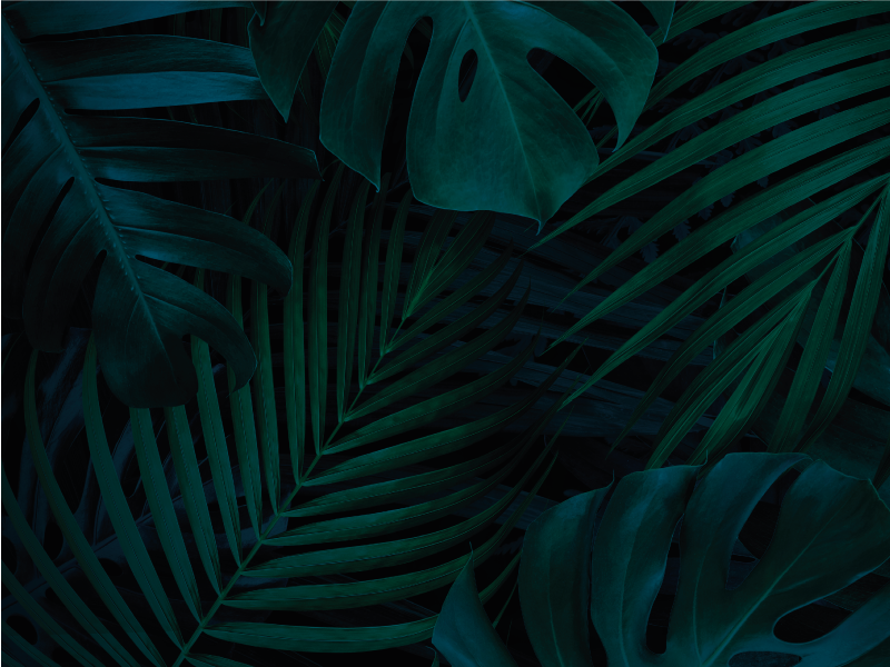 Tropisch bladeren vinyl tapijt bloemen en planten - TenStickers