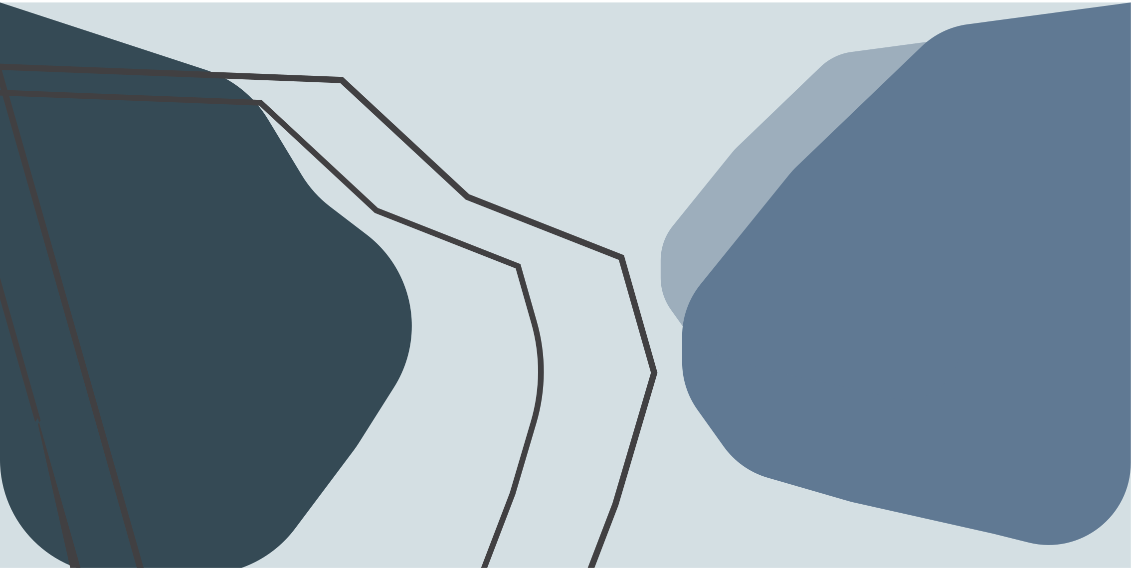 Abstracte contourlijnen vinyl tapijt geometrisch - TenStickers