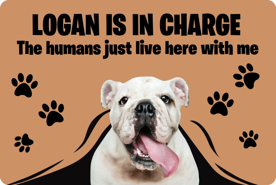 Eigen foto hond vinyl tapijt - TenStickers