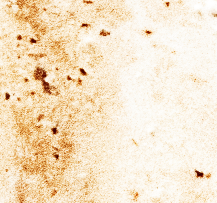 Marmer behang Zachte marmeren textuur - TenStickers