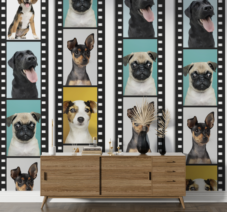 Hondenfilmstrip behang honden - TenStickers