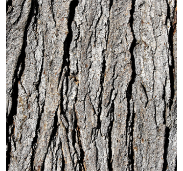Hout behang realistisch boomstam patroon - TenStickers