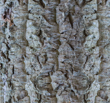 Schors textuur hout behang - TenStickers