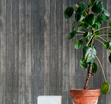 Oude grijze planken hout behang - TenStickers